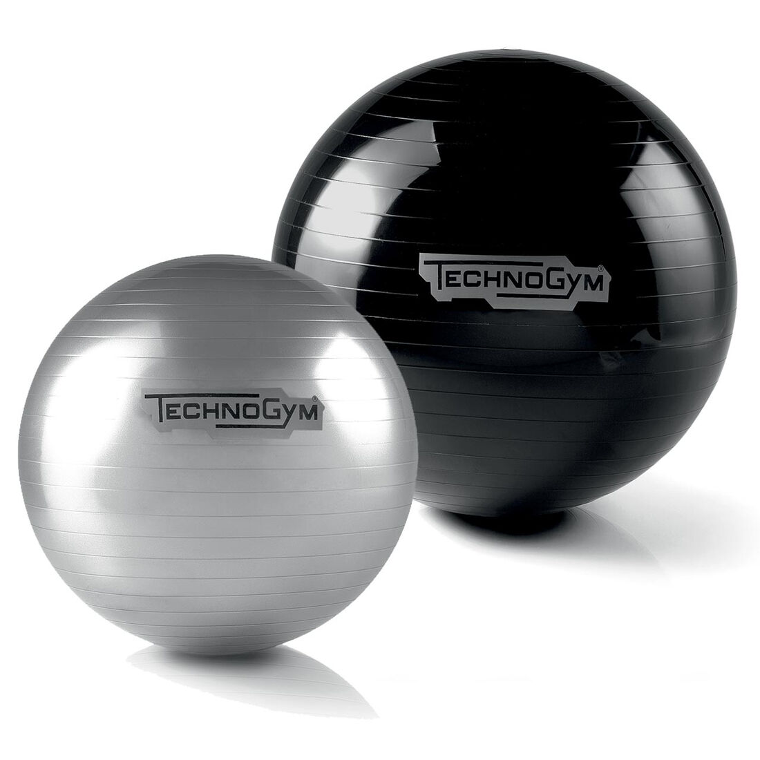 Technogym Wellness Ball Training Black